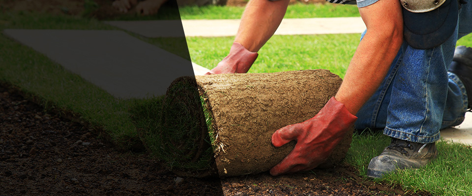 Guilderland Landscapers